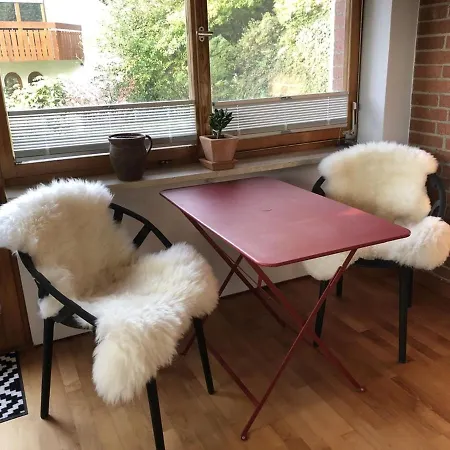 Dreilaendereck, Schoene Ferienwohnung Mit Grossem Freisitz Rheinfelden  Extérieur photo