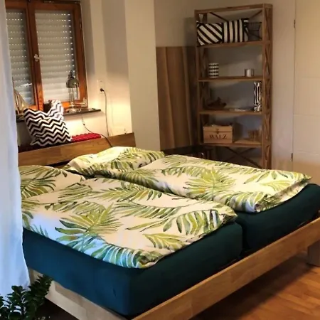 Dreilaendereck, Schoene Ferienwohnung Mit Grossem Freisitz Rheinfelden  Extérieur photo